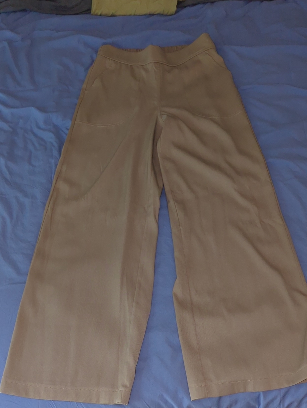 Women’s Wide-Leg Pull-On Pants in Beige
